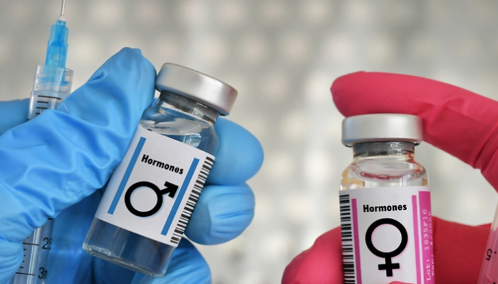 Hormone therapy Image