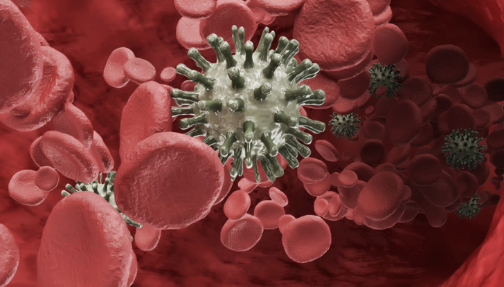 Lymphoma & Multiple Myeloma Image